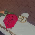 Michelle Wenzel - @michelle.offizal - Instagram
