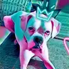 michellewenzel713 - @michellewenzel713 - TikTok