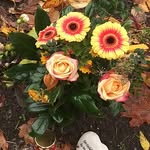 Michelle Werth - @michelle.werth.568 - Instagram