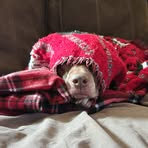 Michelle Westover - Facebook
