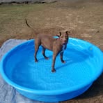 Michelle Westover - Facebook