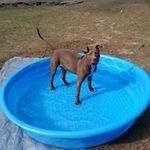 Michelle Westover - @michellewestover - Instagram