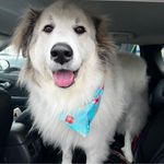 Michelle Wetsell - @mich222ees - Instagram