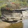 Michele Wickline - @michele.wickline - TikTok