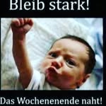michelle wiener - @michellewiene - Instagram