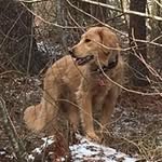 Michelle Wigmore Zeno - @wigmorezeno - Instagram