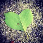 Michelle Williford - @naturemich87 - Instagram