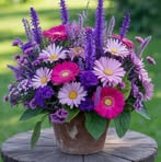 Michelle Stoner Wilmoth - Facebook
