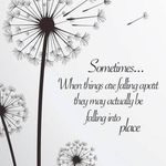 Michelle Stoner Wilmoth - @michelle.wilmoth.37 - Instagram