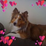Michele Winegar - @winegarmichele - Instagram