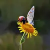 Michele Winfield - @michele.winfield4 - TikTok
