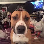 Michelle Nupp Wingard - @wingardm3366 - Instagram