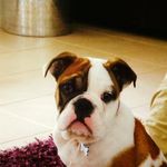 Michelle Winning - @michelle.winning.35 - Instagram