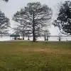 Michelle Womack - @michelle.womack42 - TikTok