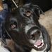 Michelle Woodside - Facebook