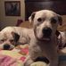 Michele Woosley - Facebook