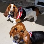 Michelle Yancy - @adventuresofgusandmyles - Instagram