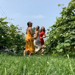 @michelle.yap - Instagram