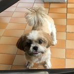 Michelle Yap - @__michelleyap__ - Instagram