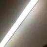 Michiko Mores - @michikomores - TikTok