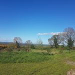 Mick Costello - @mick.costello.961 - Instagram