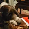Mick Ellis - @mick.ellis5 - TikTok