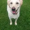 Mick Hall - @mick.hall4 - TikTok
