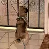 Mick Hall - @mick.hall2 - TikTok