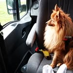 Mick Hall - @ivecodailymick - Instagram