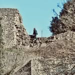 Mick Hall - @nocontextmick - Instagram