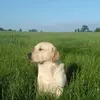 Mick Mél Heard - @mickmelh - TikTok
