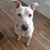 Mick Jackson - @mick.jackson2 - TikTok