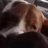 Mick Mackey - @mick.mackey - TikTok
