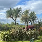 Mick McDermott - @mmcd_2 - Instagram