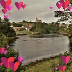 Mick McDermott - Facebook