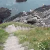 Micky Moloney - @micky.moloney - TikTok