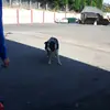 mick moore - @mick.moore7 - TikTok