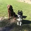 Mick Moore - @mick.moore11 - TikTok