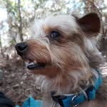 Mick Reed - @mickreed075 - Instagram