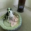 Mick Reed - @mick.reed0 - TikTok