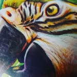 mick reid - @mickreid43 - Instagram