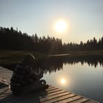Mick Reid - @mickoreid - Instagram