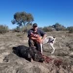 Mick Reid - @mick.reid530 - Instagram