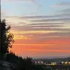 Mick Reid - @mick.reid97 - TikTok