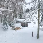 Mick Rogers - @mickrogs - Instagram