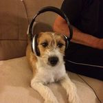 Mick Sullivan - @sullivan_mick - Instagram