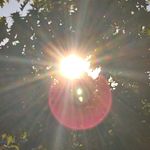 Mick White - @headlightings - Instagram