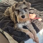 Mickey 🐾 - @mickeybarker222 - Instagram