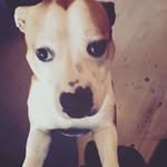 Mickey Barnett - @mickeyb2013 - Instagram