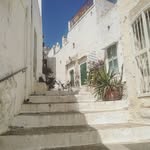 Mike Basham - @basham4674 - Instagram